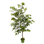 Faux 4ft Ficus Tree