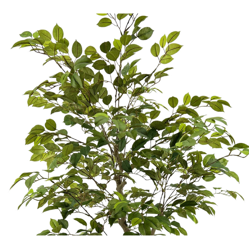 Faux 4ft Ficus Tree