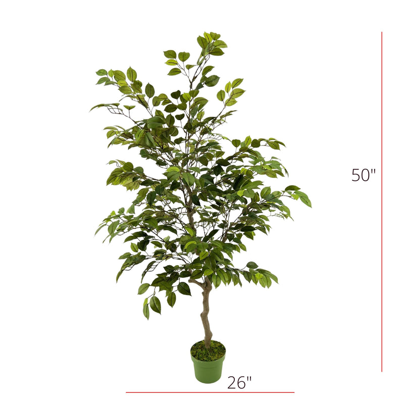 Faux 4ft Ficus Tree