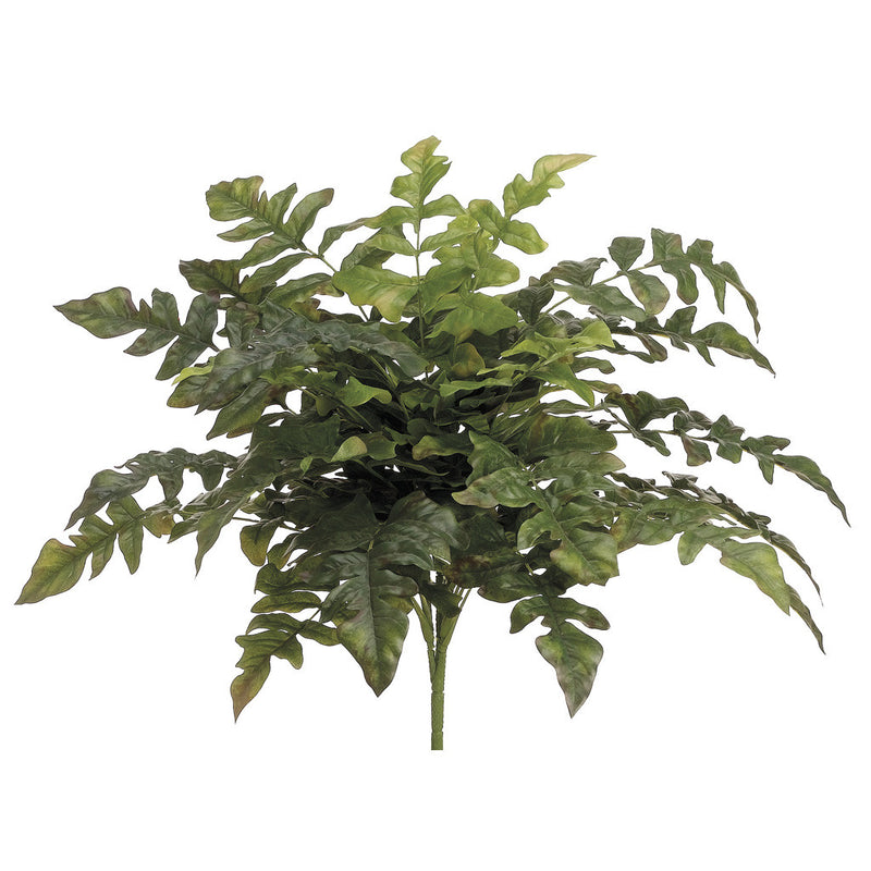 Artificial 21" Royal Fern Bush - Set of 2 - House of Silk Flowers®
