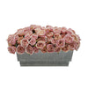 Shabby Chic® Antique Pink Roses in Distressed Zinc Ledge Planter