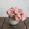 Shabby Chic® Wonky Pink Cabbage Roses in Off-White Ceramic Vase