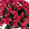 Artificial Bougainvillea Hanging Basket