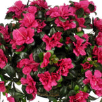 Artificial Azalea Hanging Basket