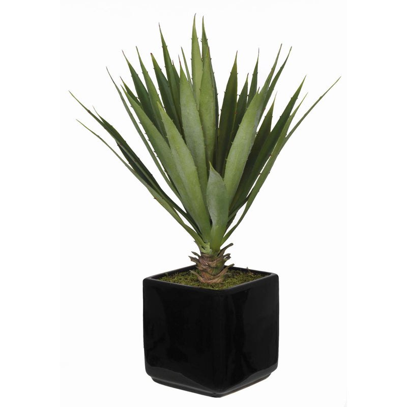 Artificial Baby Yucca in Cube Vase - House of Silk Flowers®
 - 1