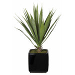 Artificial Baby Yucca in Cube Vase - House of Silk Flowers®
 - 2