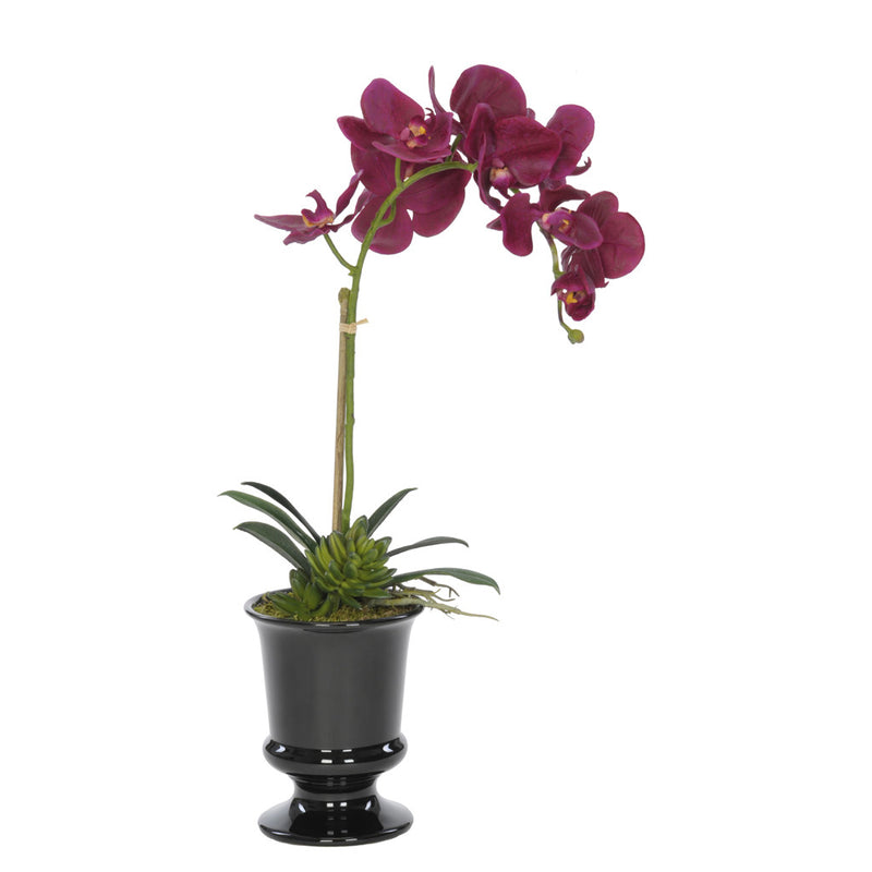 Artificial Phalaenopsis Orchid in Black Ceramic Urn - House of Silk Flowers®
 - 6