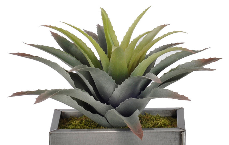 Artificial Star Succulent in Planter