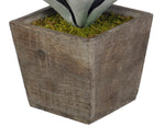 Artificial Frosted Green Succulent in Planter