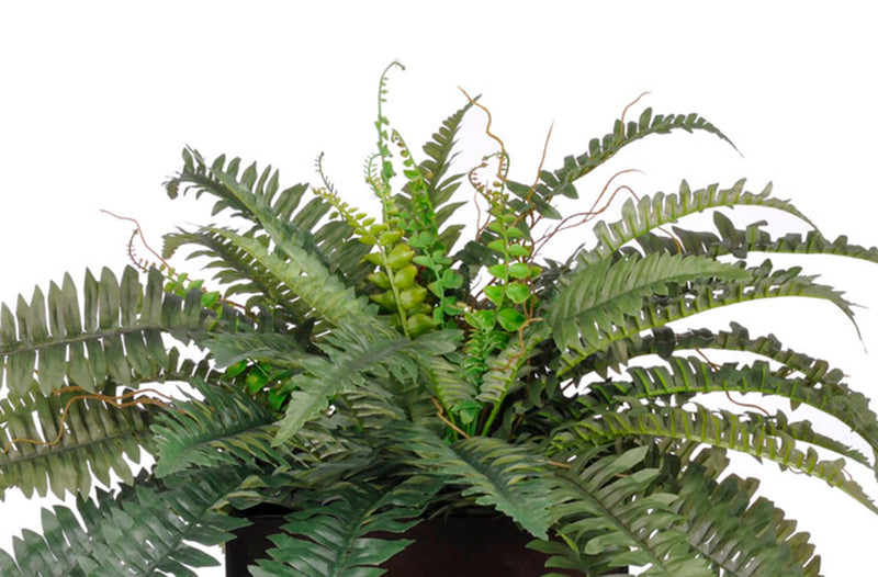 Artificial Fern in Large Zinc