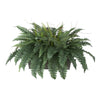 Artificial Fern in Washed Wood Ledge