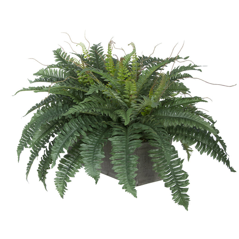 Artificial Fern in Washed Wood Ledge