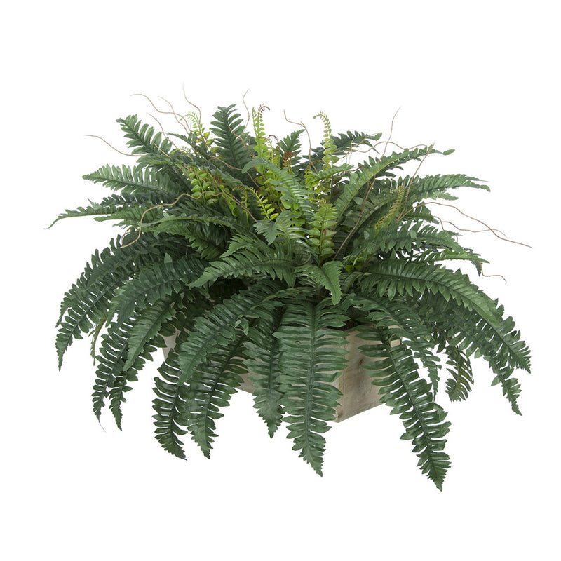 Artificial Fern in Washed Wood Ledge