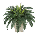 Artificial Fern in Small Washed Wood Planter - House of Silk Flowers®
 - 4