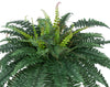 Artificial Fern in Galvanized Southern Farm Bucket