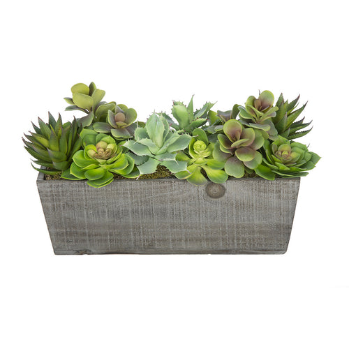 Artificial Succulent Garden in Rectangle Planter