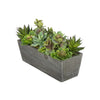 Artificial Succulent Garden in Rectangle Planter