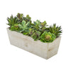 Artificial Succulent Garden in Rectangle Planter