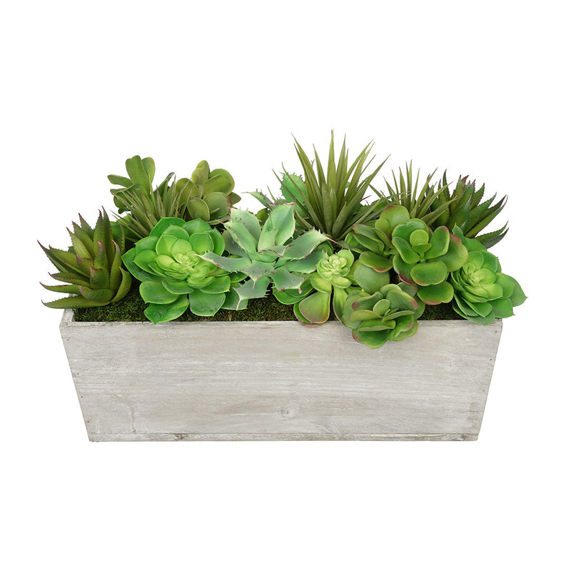 Artificial Succulent Garden in Rectangle Planter