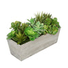 Artificial Succulent Garden in Rectangle Planter