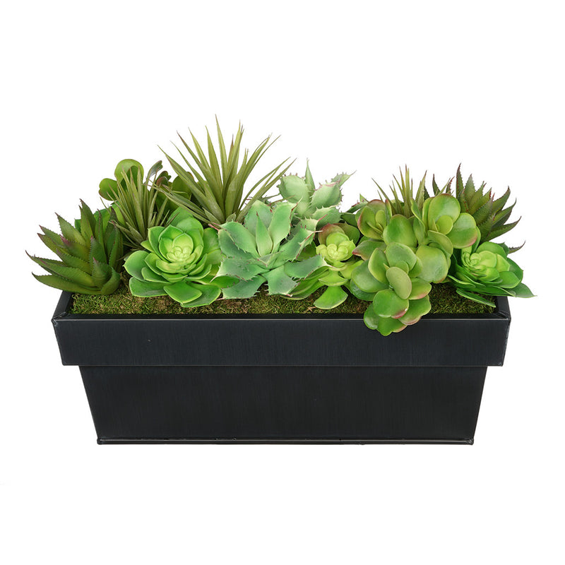 Artificial Succulent Garden in Rectangle Planter