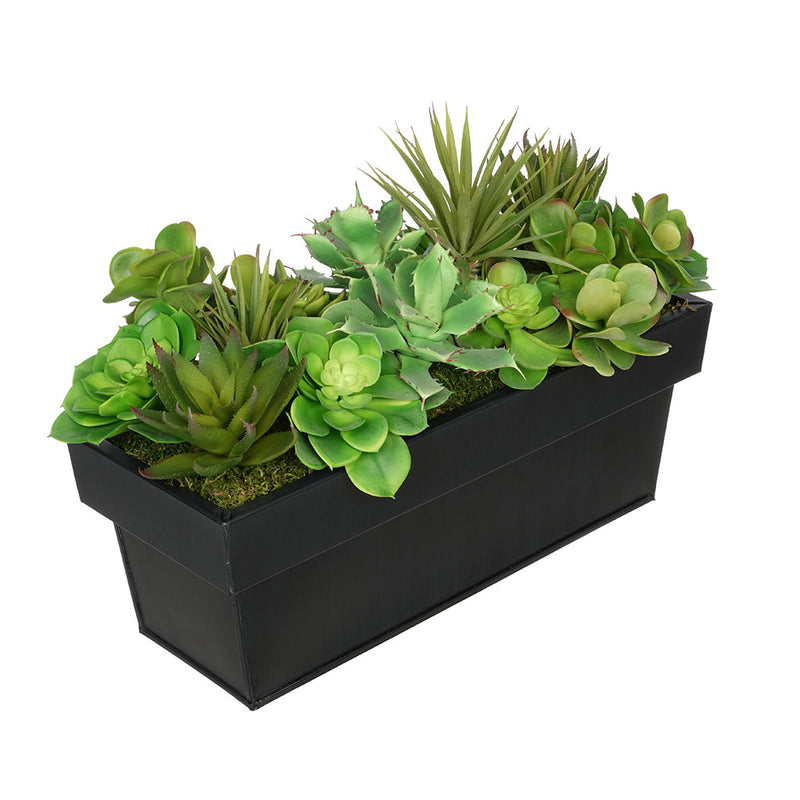 Artificial Succulent Garden in Rectangle Planter