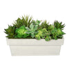 Artificial Succulent Garden in Rectangle Planter