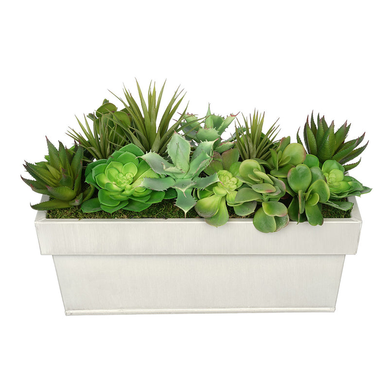 Artificial Succulent Garden in Rectangle Planter