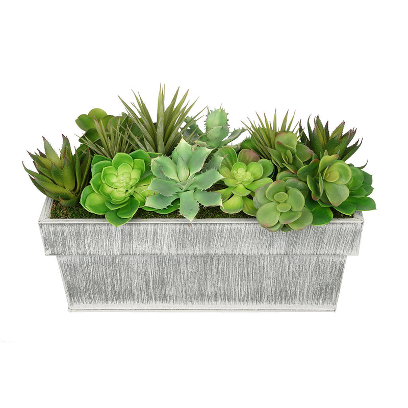 Artificial Succulent Garden in Rectangle Planter