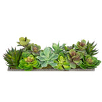 Artificial Succulent Garden in Rectangle Planter