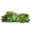 Artificial Succulent Garden in Rectangle Planter