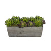 Artificial Succulent Garden in Rectangle Planter