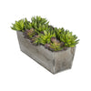 Artificial Succulent Garden in Rectangle Planter