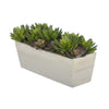 Artificial Succulent Garden in Rectangle Planter