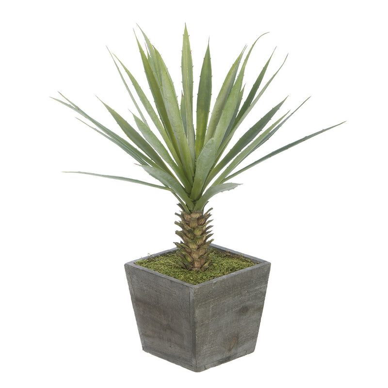 Baby Yucca in Washed Wood Cube House of Silk Flowers®