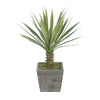 Baby Yucca in Washed Wood Cube House of Silk Flowers®