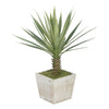 Baby Yucca in Washed Wood Cube House of Silk Flowers®