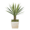 Baby Yucca in Washed Wood Cube House of Silk Flowers®