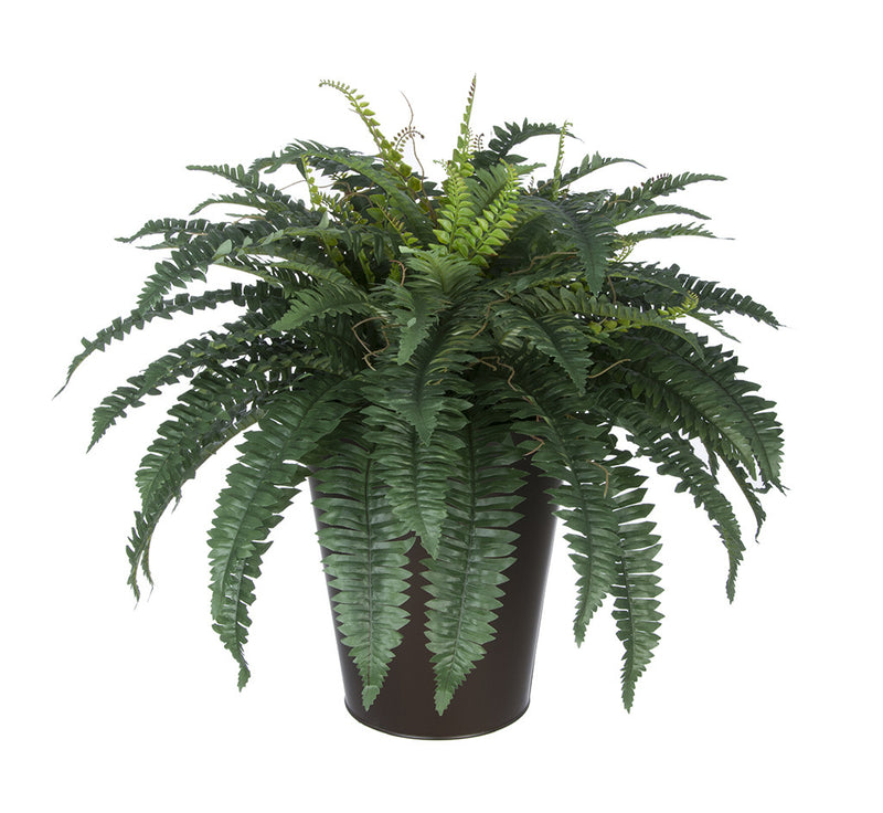 Artificial Fern in Round Zinc Planter - House of Silk Flowers®
 - 4