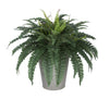 Artificial Fern in Round Zinc Planter - House of Silk Flowers®
 - 2