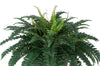 Artificial Fern in Square Zinc Planter