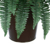 Artificial Fern in Round Zinc Planter