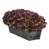 Artificial Plum Hydrangea in Grey-Washed Wood Ledge