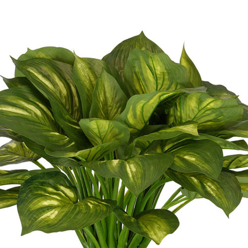 Artificial Large Hosta