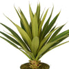 Artificial Spike Yucca Plant