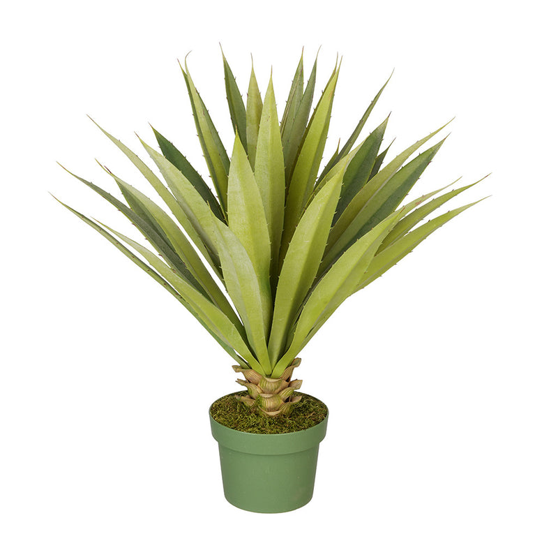 Artificial Spike Yucca Plant - House of Silk Flowers®
 - 3