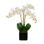 Artificial Triple Stem Orchid in Cube Vase