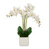 Artificial Triple Stem Orchid in Cube Vase