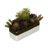 Artificial Succulent Garden in Gold/White Ceramic Rectangle