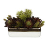 Artificial Succulent Garden in Gold/White Ceramic Rectangle